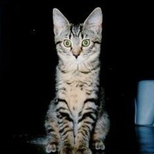 Meet your Posher, Jill